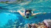 Snorkeling in Carribean sea